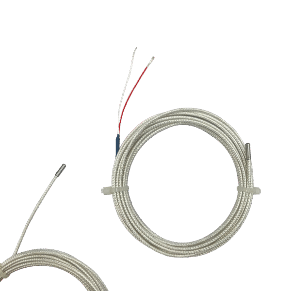 2 PT1000 Temperature Sensor