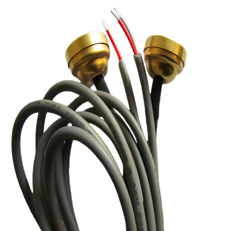 Magnetic temperature sensor